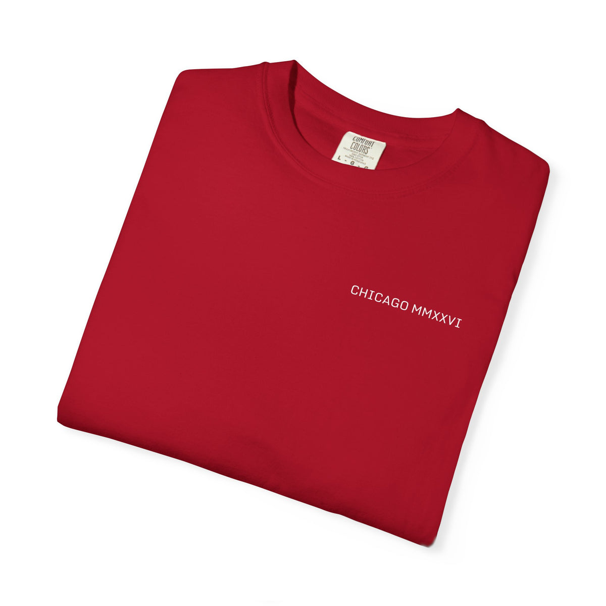 Chicago Marathon Finish Line Coordinates T-Shirt